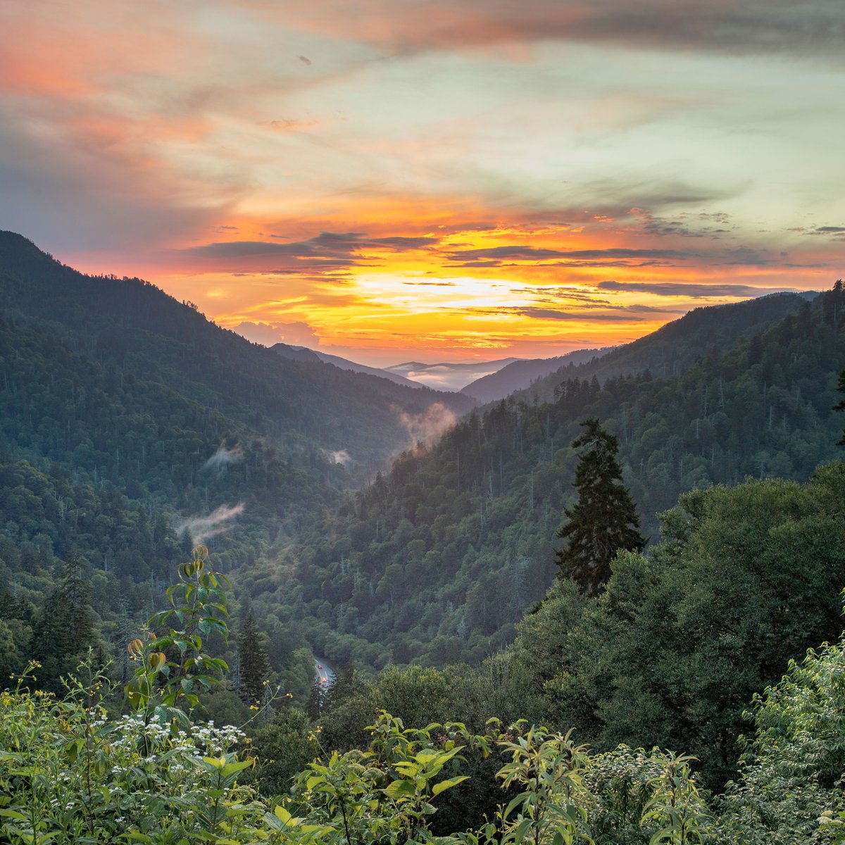 Fall in the Smokies