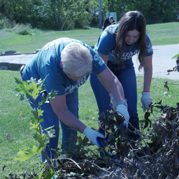 Impact photos for webpage (42)