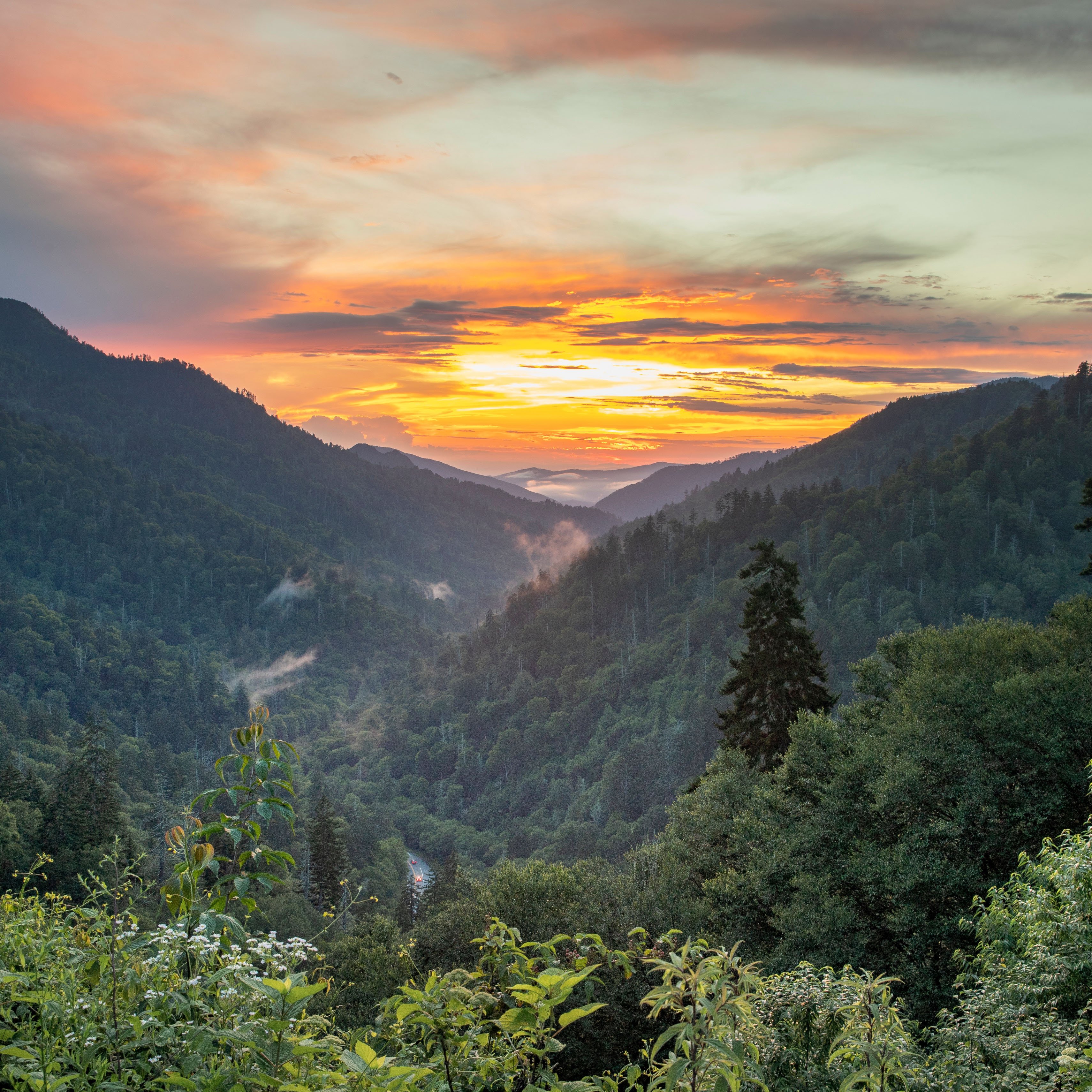 Fall in the Smokies