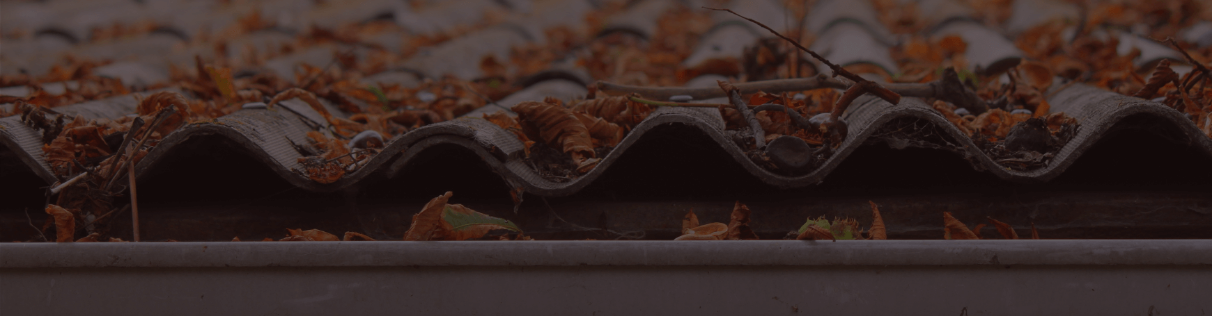 Leaves on top of a roof